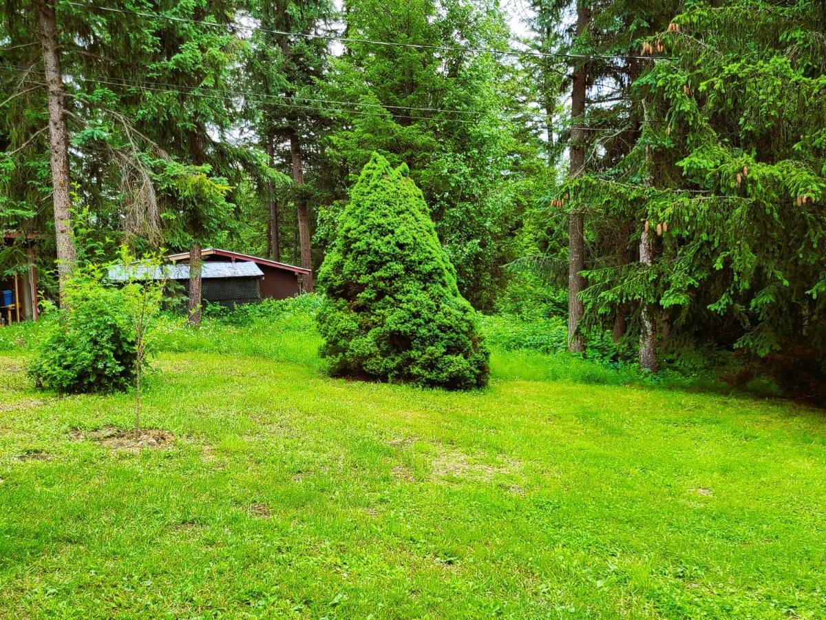 Woodcrest Bed And Breakfast Clearwater Exteriér fotografie
